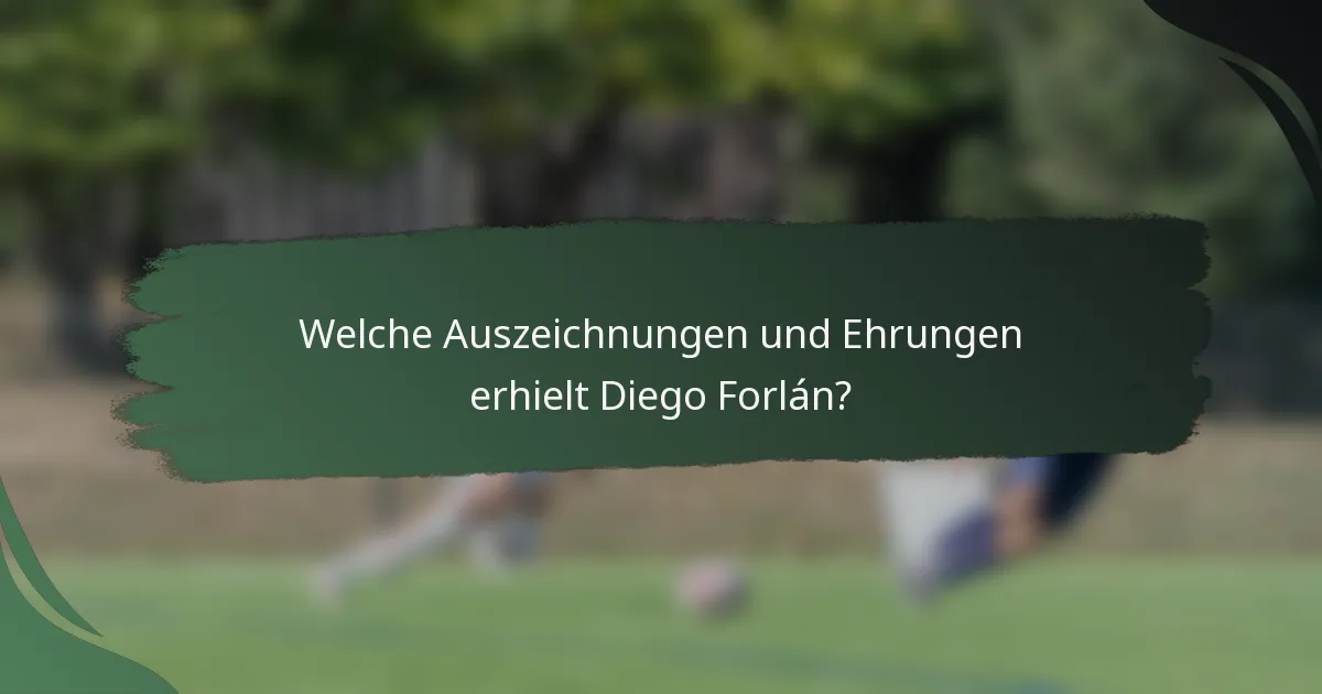 Welche Auszeichnungen und Ehrungen erhielt Diego Forlán?